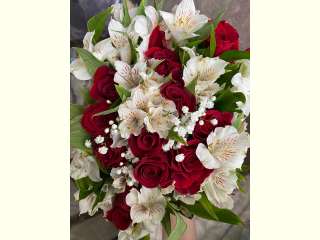 ����������� � ���� ��������!