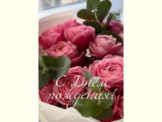 � ����������, ����� ����������!